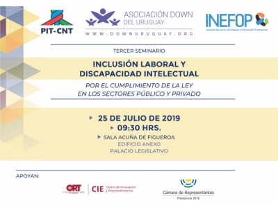 INCLUSIÓN LABORAL Y DISCAPACIDAD INTELECTUAL